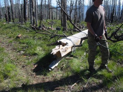 Another downed tree in the way