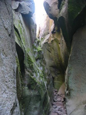 Mossy walls