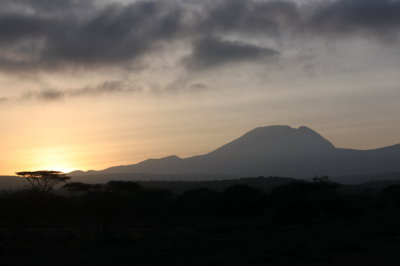 Mt. Kilimanjaro at sunrise