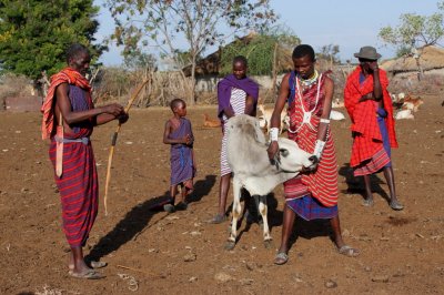 Maasai village visit #2