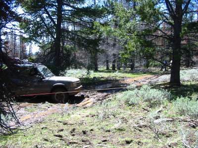 Ron gets a tug from the mud