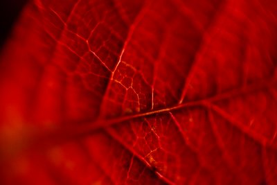 teus_08_086_201.jpg