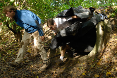 teus__DSC0268.jpg