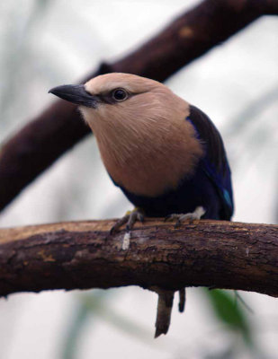 Zoo 09 083.jpg