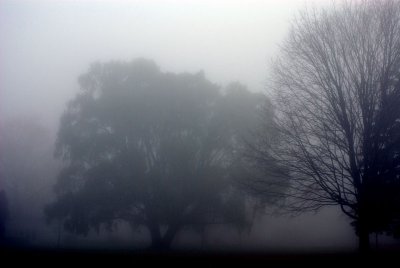 Nov 10 022.jpg