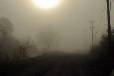 Nov 10 027.jpg