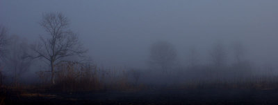 Nov 10 047.jpg