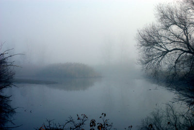 Nov 10 029.jpg