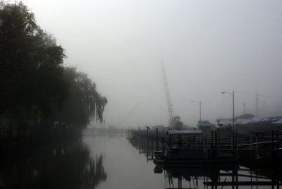 Nov 10 051.jpg