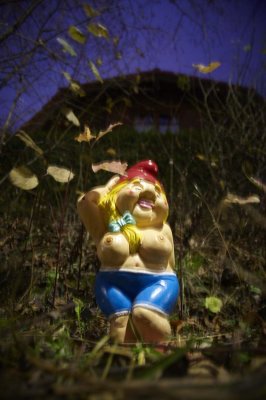 Garden Gnome's Wet Dream