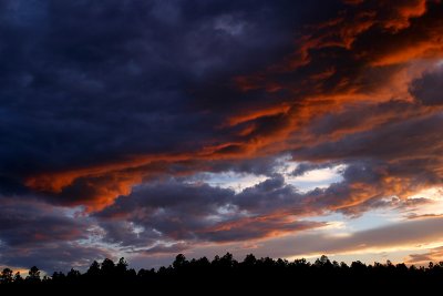 Toward Dusk