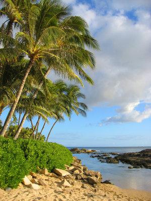 Beach at the Luau