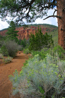 Trail to Red Mountain