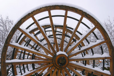 Logging Wheels