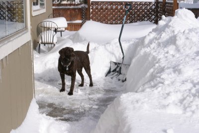 Done Shoveling!