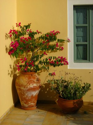 Peaceful Patio