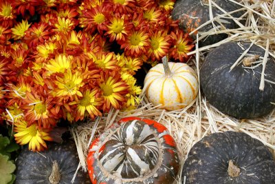 Gourds and Mums