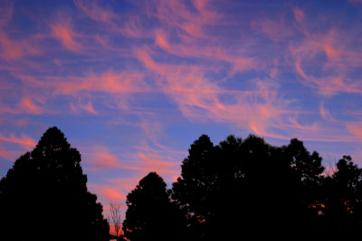 Cotton Candy Tufts