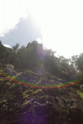 TOward the sun