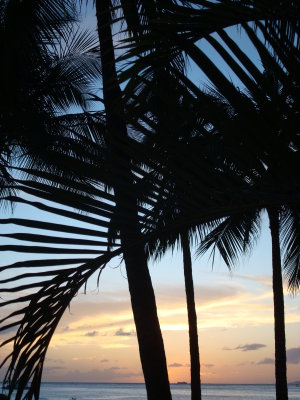 Wikiki Beach