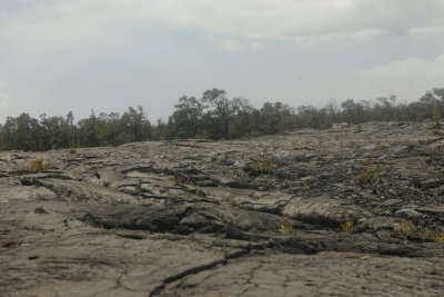 Pahoehoe