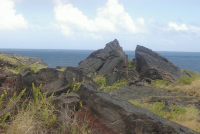 09 Hawaii_0213.JPG