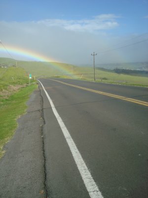 Roadside Rainbow