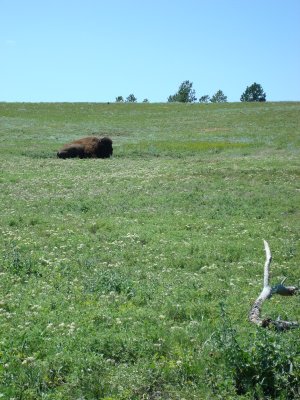 On the hill
