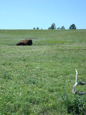 On the hill