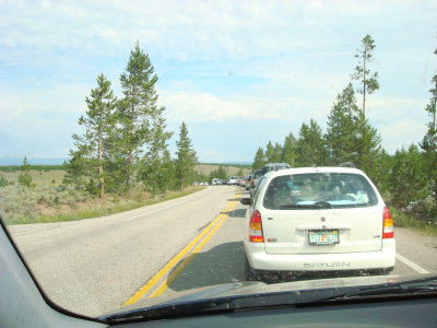 g1/80/61480/3/116322008.uGGjLiVy.jpg