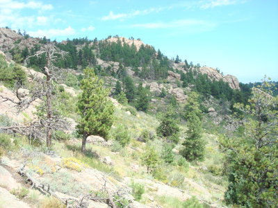 Trail to Horsetooth