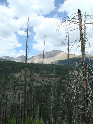 View to the 14er