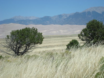 Field Dune and Mountian