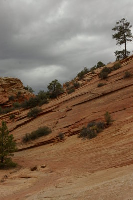 Zion sandstone