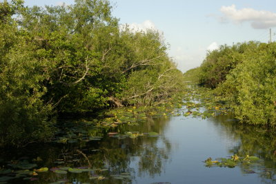 Everglade cannal
