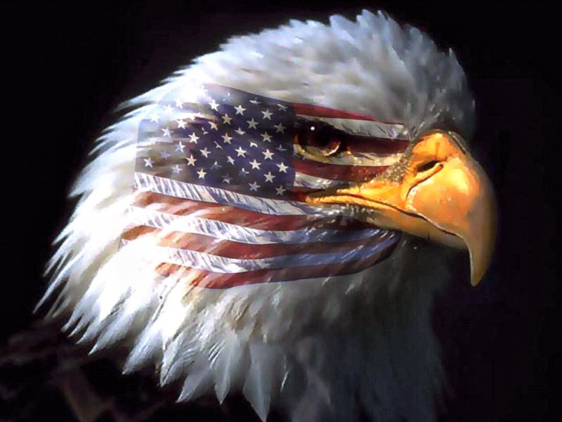 Eagles Up.jpg
