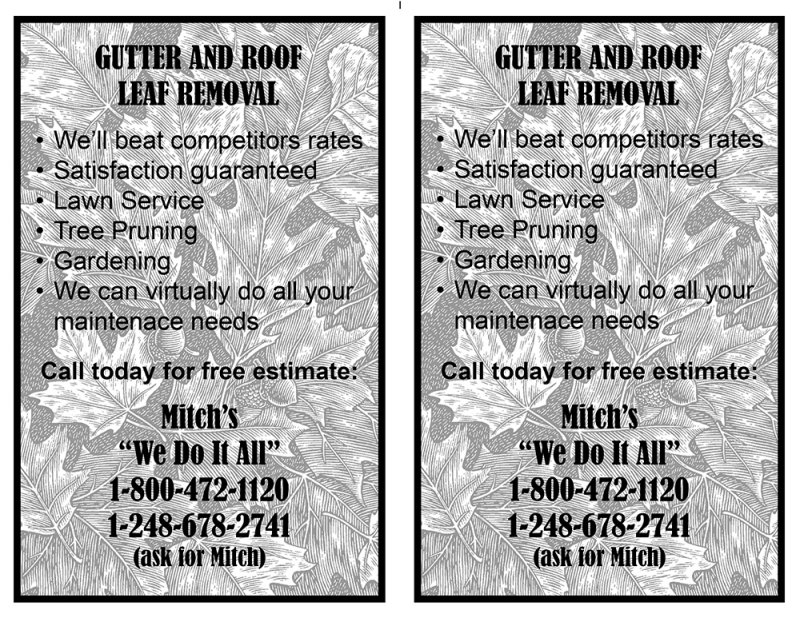 Gutter and Roof Leaf Removal email.jpg