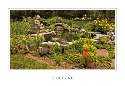 Our Pond.jpg