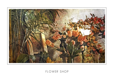 Flower Shop.jpg