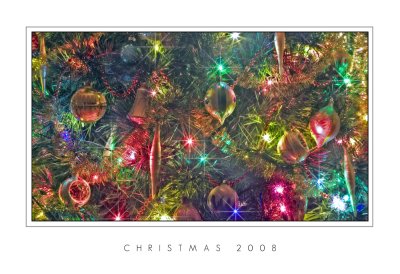 Christmas 2008.jpg