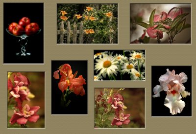 Multiple Image Mat.jpg