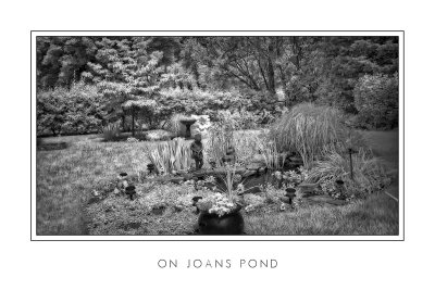 On Joan's Pond