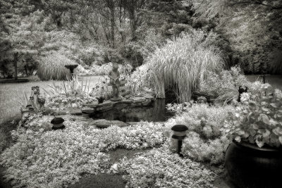 On Joans Pond.jpg