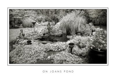 On Joans Pond