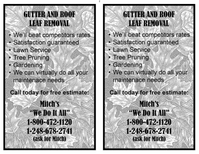 Gutter and Roof Leaf Removal email.jpg