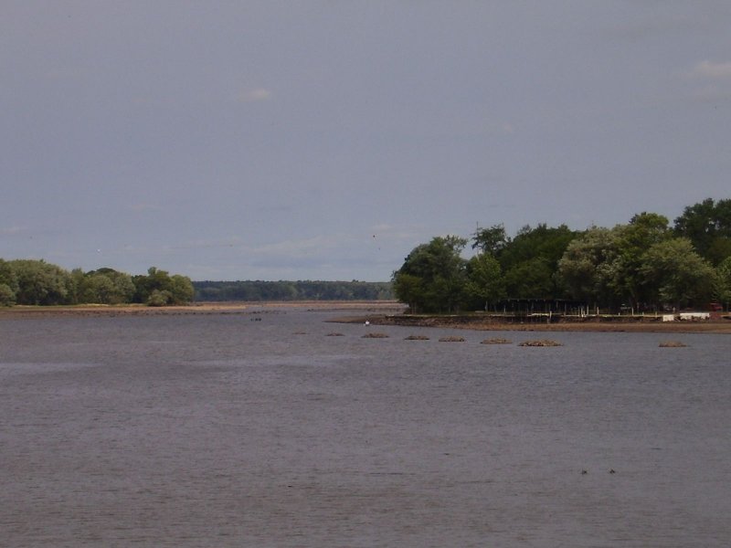 Looking up to Bukholdt Park... a series of anchor pilings form the logging era