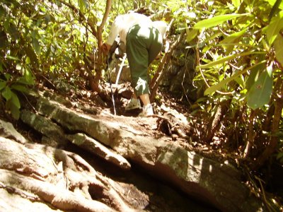 I was so impressed... Joan is climbing a very steep incline in freestyle fashion... through the thickets