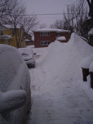 From the side door toward the street --- yes, 2007-08 created some big piles.