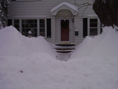 The front walk gully