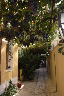 The Village of Arhanes, Crete.